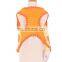 Cartoon cute bee teddy pet dog clothes