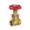 Thread end Brass Gate Valve 1 inch