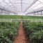 greenhouse film 200 microns Hot selling greenhouse film 200 microns with high quality
