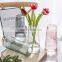 China Professional Manufacturer Custom OEM ODM Clear Glass Flower Vase
