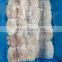 Good price frozen squid fillet with wing on