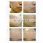 Vertical hot sale skin rejuvenation 7 colorful pdt led light therapy machine