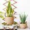 High Quality Vietnam Woven Seagrass Baskets Woven Storage Planter Wicker Organic Plant Holder