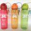 Hot sell 2016 single wall plastic sport water bottles outline with carabiner