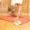 2016 hot sale tuft machine chenille microfiber rug