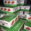 Chinese New Season Bulk Fresh Carrot