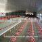 Poultry shed equipment for broiler