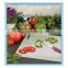 uhmw-pe round plastic cutting board/hdpe kitchen cutting sheet/thin plastic cutting board