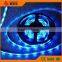 LED Strip Light SMD5050 strip lighting