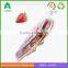 Plastic Material And Blister Process Type Heart Shape Clam Shell