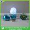 OEM Logo Printing Tumbler Pill Electric Light