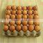 Egg tray making machine/Low price waste paper making egg tray machine