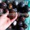 Natural Rock Polished Pietersite Stone Balls Quartz Crystal Spheres