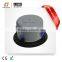 6.5 inch Two way High Fidelity Indoor Ceiling speaker