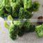 Healthy Food Snack - VF Dried Brocoli Crisps on good sale
