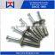 China Zamac Nail Anchor / Zinc Alloy Hammer Drive Anchor / Hit Anchor