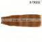 cheap wholesale 100%human hair 6# chestnut brown straight Brown brazilian remy human weft 105g