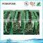 Immersion Gold PCB for GPS Tracking Module