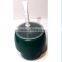 Yerba Mate Bottle With Straw Bombilla Thermos Two In One