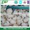 IQF/Frozen lychee whole unpeeled,frozen lychee fruits