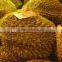 Frozen Mongthong durian whole