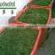 No pollution chlorella vulgaris powder for animal feed in Fuzhou