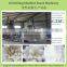 Modified corn maize starch processing line