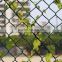 2016 Hot sale wholesale high quality galvanized chain link fence
