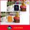 Hot sale!!2015 china wholesale factory price Ready Stock Transparent Colorful Contact Lens Case