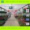 Durable and Stable Agricultural Greenhouse Widely Used in World