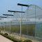 Baolida cheap vegetables tunnel greenhouse