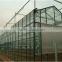 Commercial Greenhouse for agriculture