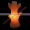 CRAFTED CRYSTAL SALT LAMPS