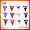 Durable triangle fabric bunting flags for swimming club