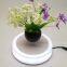 customzie magnetic floating levitation bottom air bonsai pot