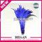 Good quality cheap purple dyed rooster feather