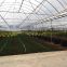 Economical Plastic Film Greenhouse for Tropical Area/Africa