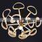 contemporary led luxury flower ceiling lamp with remote control from Zhongshan