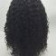 13x4 Lace Front Natrual Color Curly Human Hair Wig Vendor from China