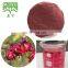 Hibiscus flowers extract powder 10:1,20:1