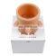 Silicone Molded  Puppy Kitten  Milk Bowl Silicone Nipples Dog Cat Pet Milks Tube Feeder Baby Cats Dogs Bubble Bowl Feeder