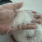 urea 46% cas57-13-6 slow release fertilizer WhatsApp+8616653182382
