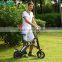 Onward new product mini bike with chair 36V battery power chariot with seat