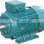 WEG Standard Three Phase Electric Motors