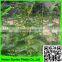 climbing mesh for cucumber plant or breeding bop stretch net with cheap price