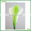 wholesale top quality real touch mini calla lily in white green
