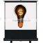 Pull down projector screen /portable floor screen/pull up projector screen