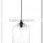 irresistible organic charm simple pendant lamp glass with filament bulb to redefine space MD9012-SM