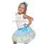 celebrity boutique dress in yiwu china fluffy pettiskirt Wholesale baby girl birthday dress boutique baby girl princess dress