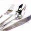 Stainless Steel Cutlery Set